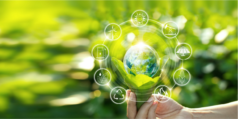 Organicoguru Sustainability